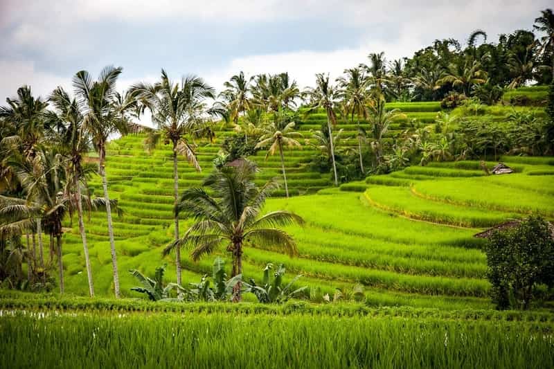 Why You Should Visit Bali Once In Your Lifetime