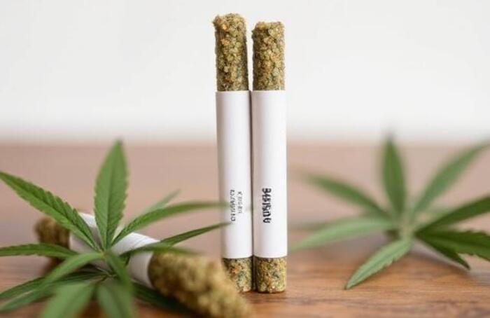 Best Pre-Rolls Reviewed: What to Look for Before You Buy Best Pre-Rolls Reviewed