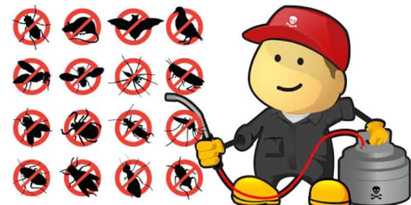 7 Ways to Prevent Cockroaches and Other Insects Appearance in Your House