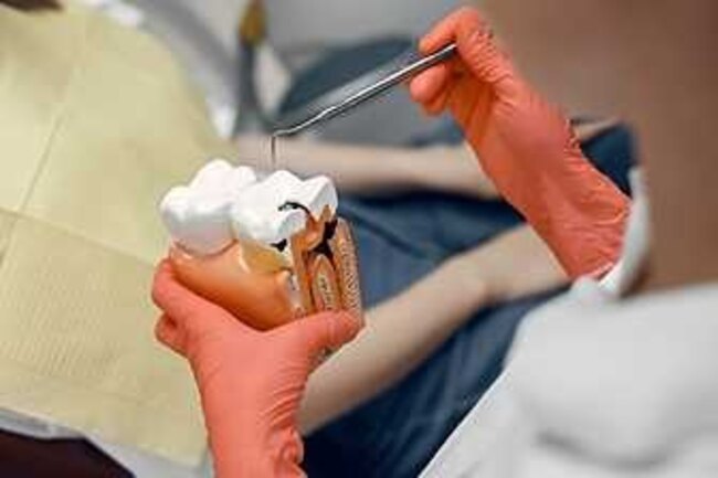 Endodontics & Small-Scale Restorative Work