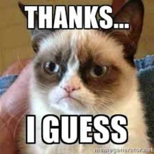 Funny Thank You Memes