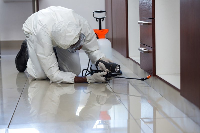 Best Pest Control Companies: 7 Tips for Hiring the Right Option Best Pest Control Companies